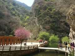 -少华山国家森林公园
