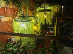 -胡桃里音乐酒馆(四道口店)