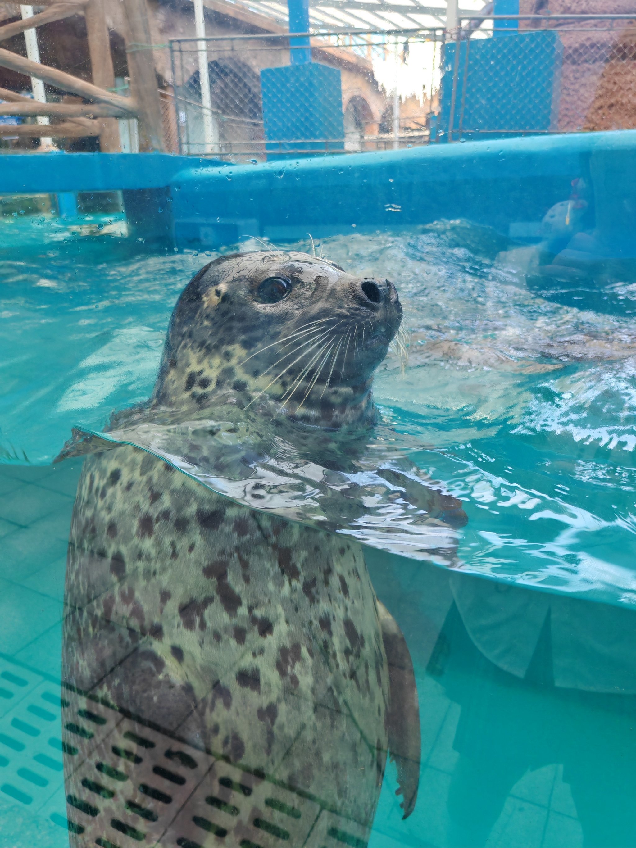 五一假期的好去处