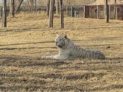 -秦皇岛野生动物园