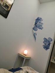 -DEM缔怡美科技美容