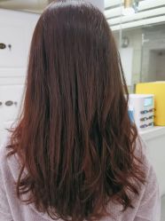 -镁连社·美联社