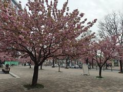 -唐城墙遗址公园