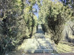 -北岭山森林公园