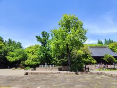 -上海方塔园