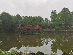 -邓小平故里