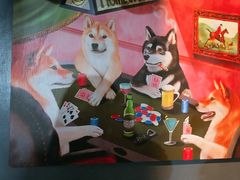 -柴犬高等学院·狗咖·柴犬售卖·宠物训练