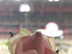 -山西体育中心红灯笼体育场