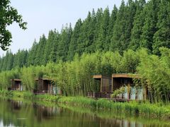 -黄海国家森林公园