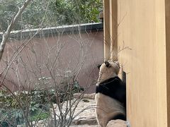 -杭州动物园