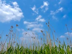 -梁鸿国家湿地公园