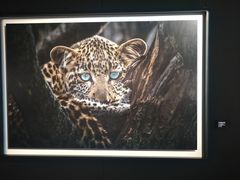 -罗红摄影艺术馆