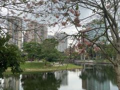 -四海公园(南山区)