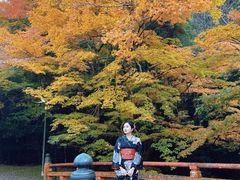 -醍醐寺