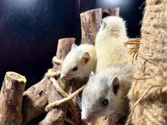 -太平洋海底世界