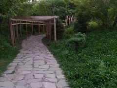 -帽儿山风景区