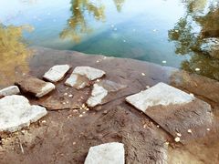 -金塔沙漠胡杨林景区