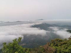 -梧桐山风景名胜区