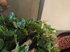 -湘当爱·鲜煮现炒(松岗立业路店)