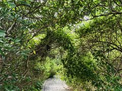 -水濂山森林公园