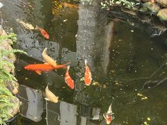 -味可道·黄圃人家园林酒家(兆丰店)