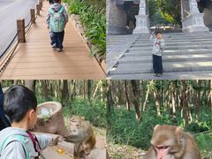 -西昌邛海宾馆
