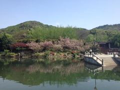 -白马涧龙池景区