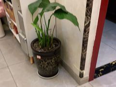 -怡心阁·水疗SPA会馆(王府井店)