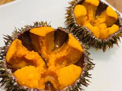 -海胆小馆(东北水饺·春柳店)