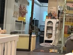 -有喵·猫咖·狗咖·30几只猫10只小狗(岗厦店)