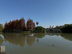-江心屿景区