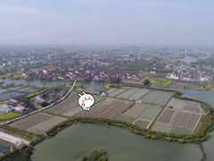 -满记甜品(金帝银泰城店)