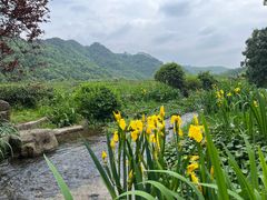 -中国茶叶博物馆(双峰馆区)