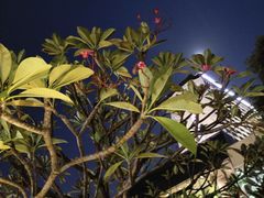 -白天鹅宾馆-健身中心