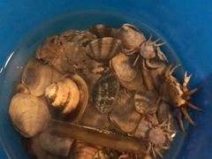 -北海金海湾红树林生态旅游区