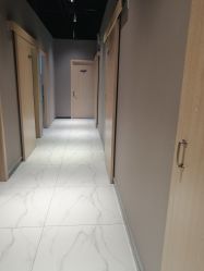 -三只熊皮肤管理中心