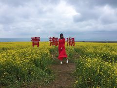 -青海湖国家重点风景名胜区