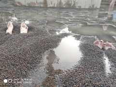 -三江森林温泉度假区