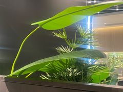 -卡朋西餐(宝安大仟里店)