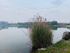 -美兰湖景区
