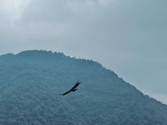 -午潮山国家森林公园