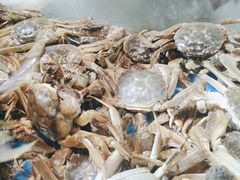 -鑫海汇海鲜烤肉自助(北国商城店)