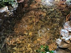 -綱元·海鲜豆捞(明州里店)