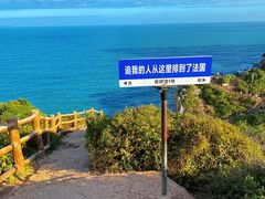 -杨梅坑