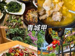 -青城甲(青城山店)