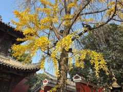 -长春观