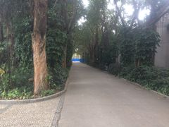 -南宁南湖公园