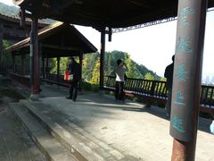 -铁山坪森林公园