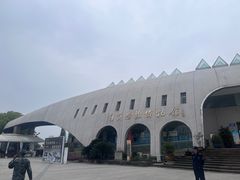 -自贡恐龙博物馆