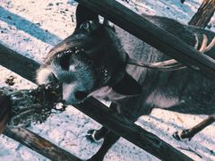 -北极村旅游风景区